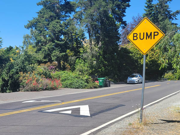 Example of a speed hump that helps you drive the speed limit. It has breaks in the center and edges so that emergency vehicles don’t have to slow down.  