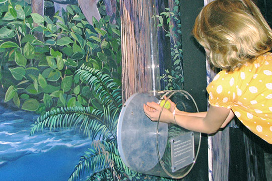 You can find your drop in the rivers, snow, ground water, or animals. Follow your water drop throughout the exhibit hall.