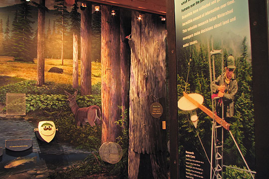 Can you imagine? Murals and activities reveal the stories of the people and habitats of the Cedar River Watershed.