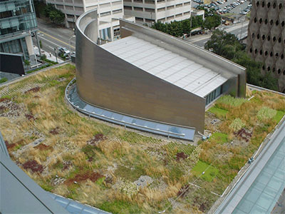 Green roofs are living vegetation systems installed on top of buildings to slow the flow of stormwater via soil storage, evaporation and transpiration. Green roofs consist of several layers of material to achieve the desired vegetative cover and drainage requirement.
