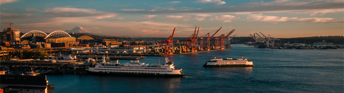 Puget Sound from the Great Wheel