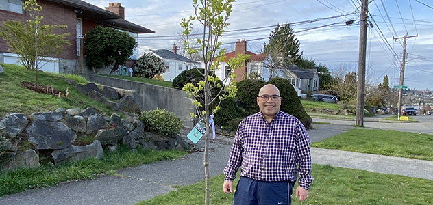 Trees for Neighborhoods