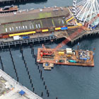 Piles that were installed for the future Pier 58 in January 2023.